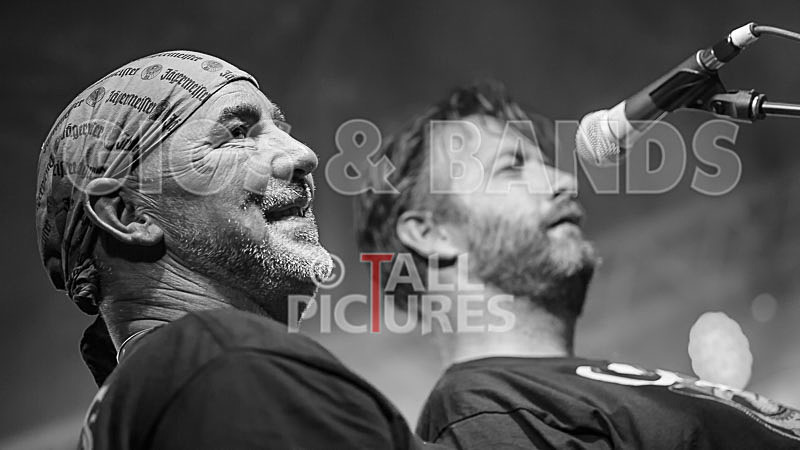 Spunge-184 - [spunge]