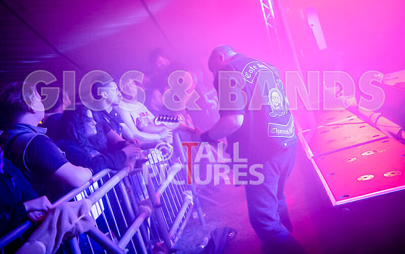 Maiden Guernsey-245 - MAIDEN GUERNSEY