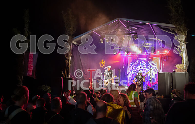 The Electric Shakes-226 - THE ELECTRIC SHAKES