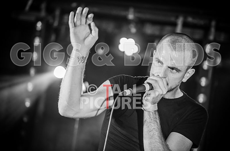 Heymoonshaker-7 - HEYMOONSHAKER