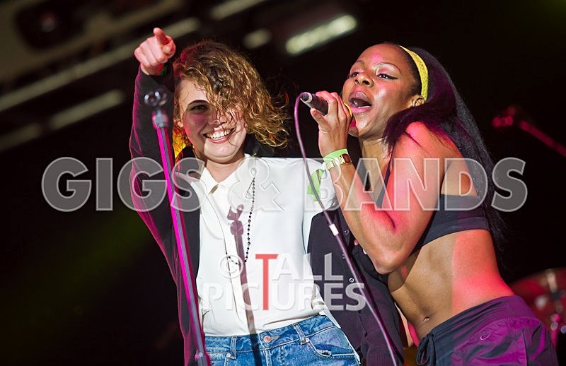 The Go Team-50 - THE GO! TEAM