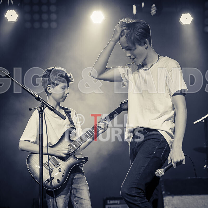 Alysida-29 - ALYSIDA