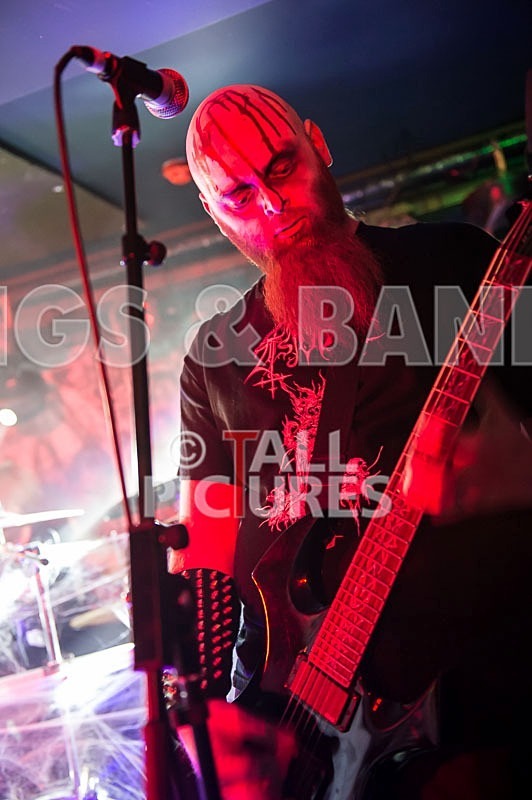 Darker Shores-1 - DARKER SHORES