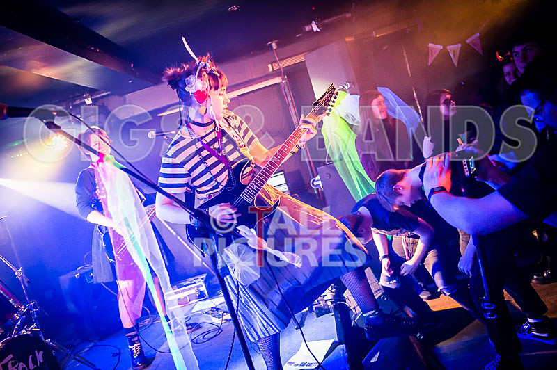 track not found-301 - track not found