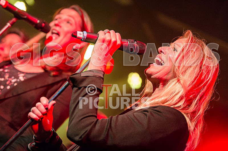 King Rat_30th Birthday Gig-62 - KING RAT AND THE SOUL CATS 30th BIRTHDAY