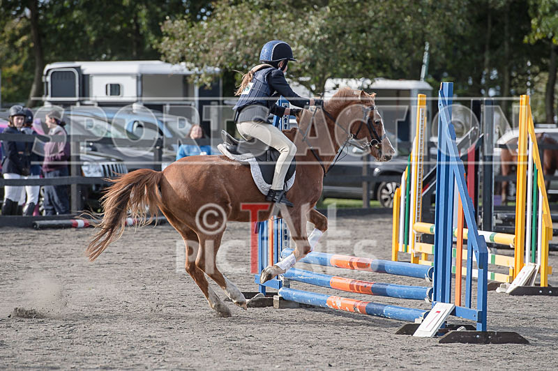North Showjumping_2016-7 - NORTH SHOW SHOWJUMPING 2016
