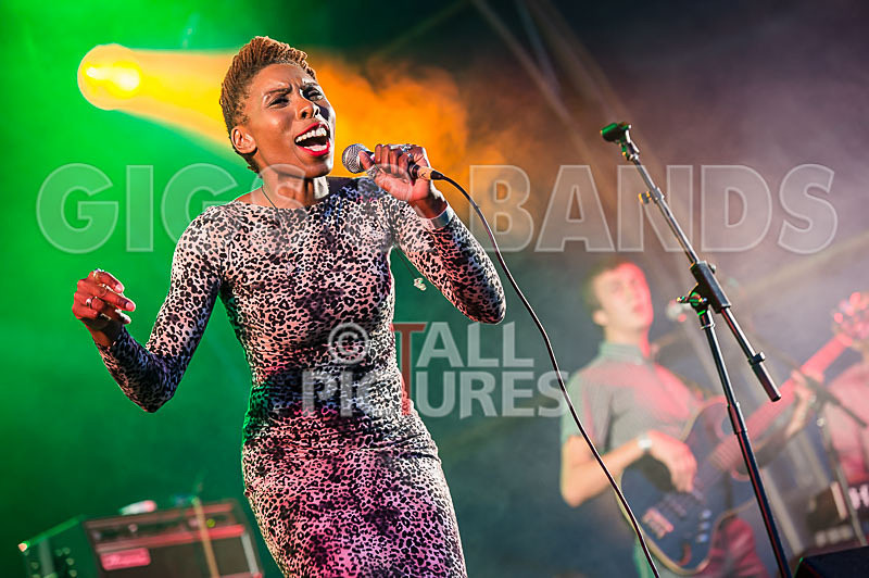 The Delegators-1 - THE DELEGATORS