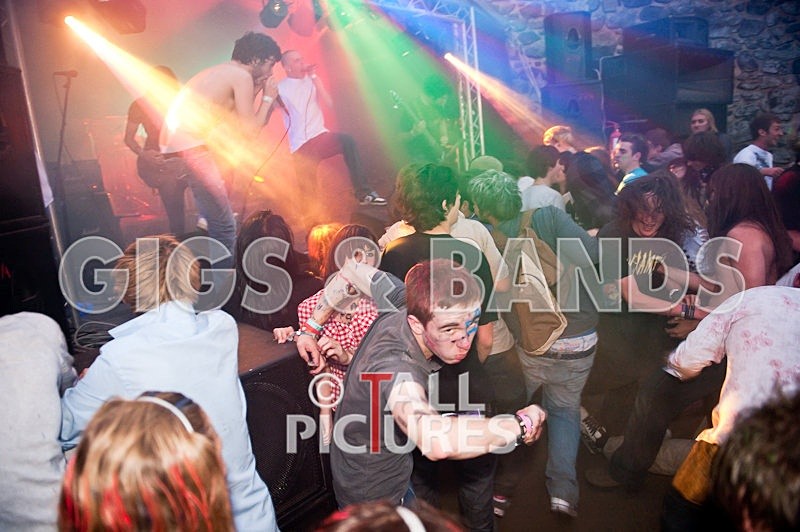 Elmer Henley-96 - VALE EARTH FAIR 2009