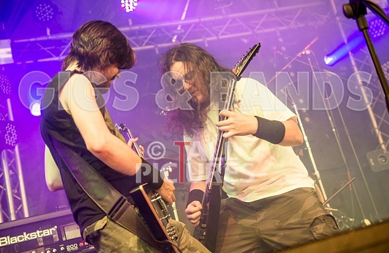 Chaos 2013_Demise of Sanity-18 - DEMISE OF SANITY