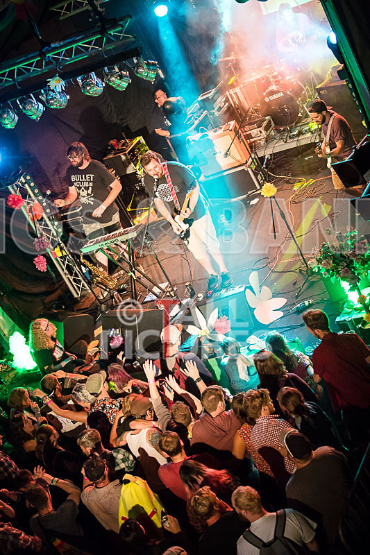 Honest Crooks-199 - HONEST CROOKS