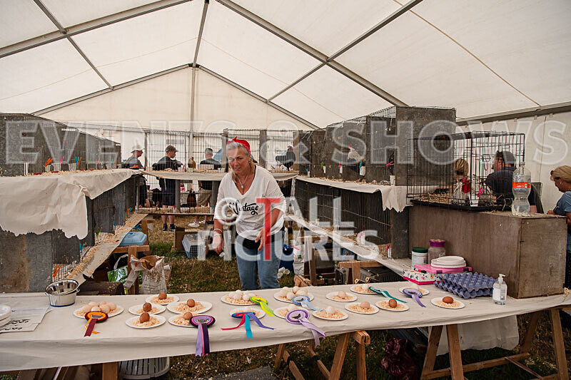 Guernsey Agricultural Show 2021-151 - GUERNSEY AGRICULTURAL SHOW 2021