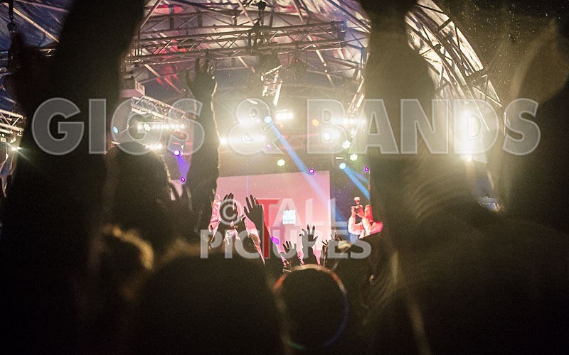 Vale Earth Fair 2015_Atmosphere-61 - VALE EARTH FAIR 2015_THE ATMOSPHERE