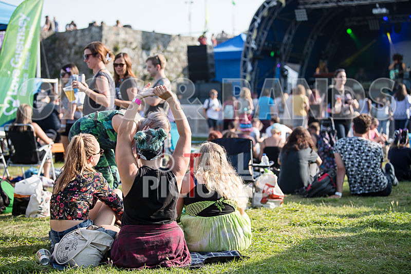 Vale Earth Fair 2017_SCENE-91 - VALE EARTH FAIR 2017_THE SCENE