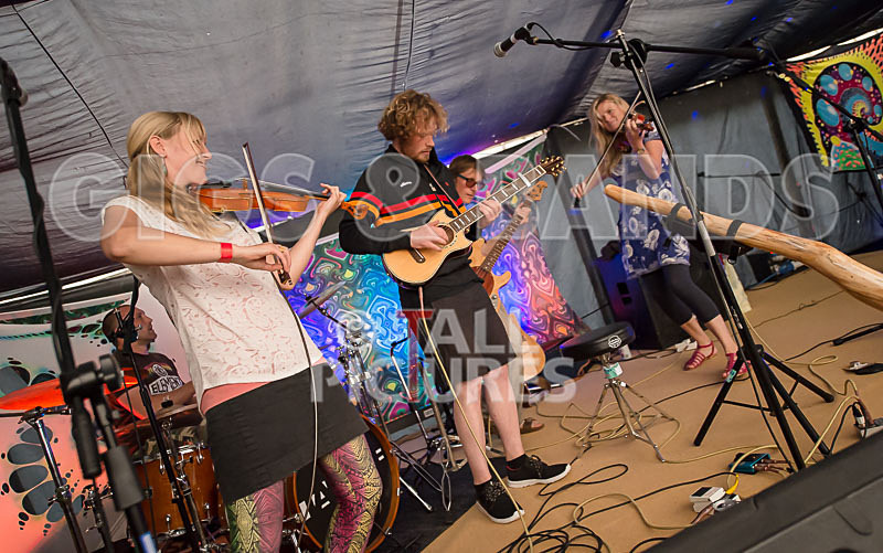 Buffalo Huddleston-219 - BUFFALO HUDDLESTON