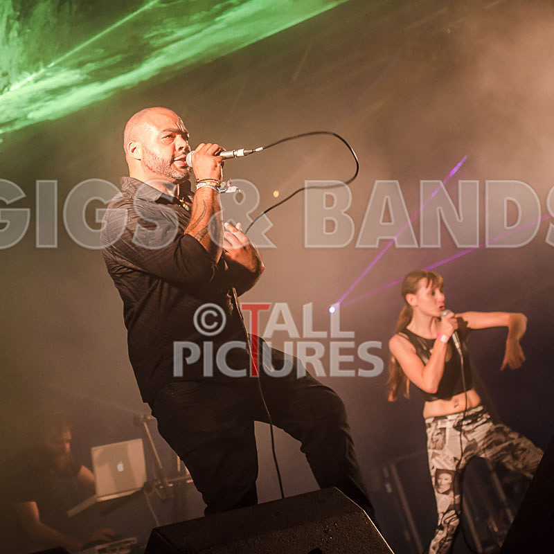 FireFarm-7 - FIREFARM