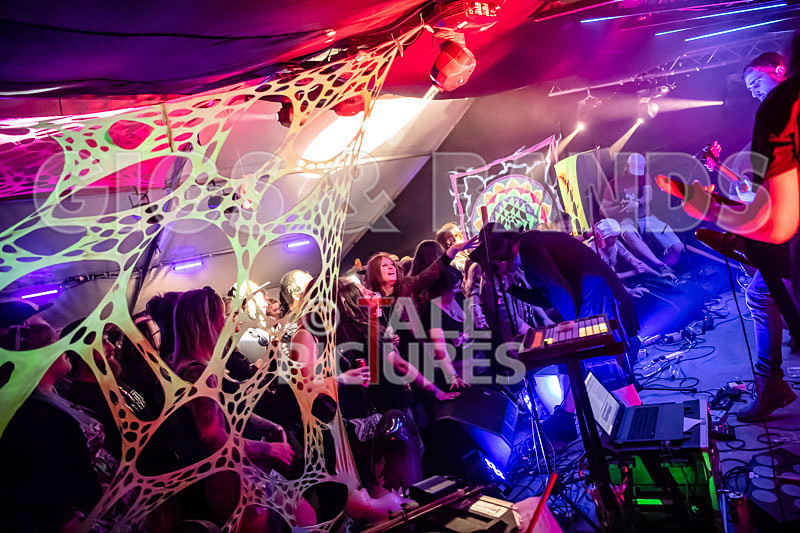 Mechanical Lobster-6 - MECHANICAL LOBSTER