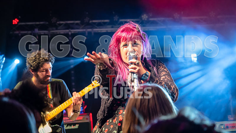 Static Alice-781 - STATIC ALICE