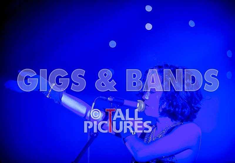 Vale-Earth-69 - VALE EARTH FAIR 2008