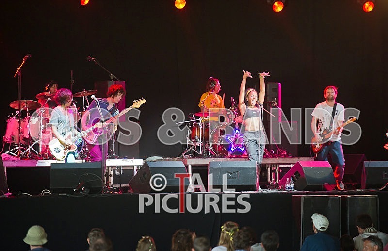 The Go Team-29 - THE GO! TEAM