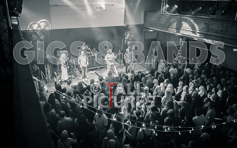 Buffalo Huddleston-591 - BUFFALO HUDDLESTON