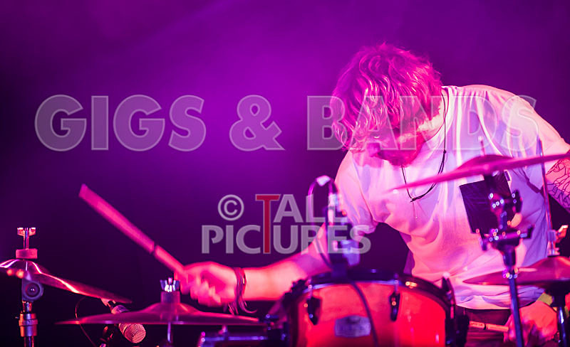 To the Woods-102 - TO THE WOODS