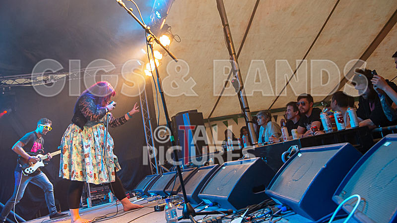 Static Alice-765 - STATIC ALICE