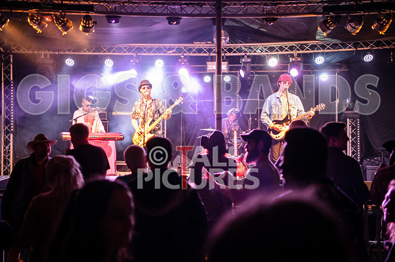 Surfin Birds-56 - SURFIN' BIRDS