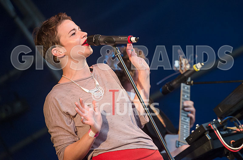 Vienna Ditto-2 - VIENNA DITTO