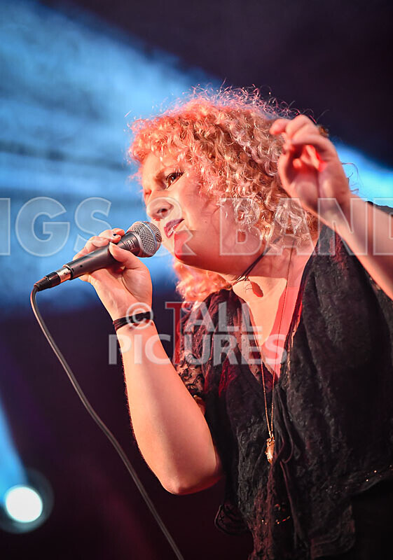 Jo Marsh-5 - THE GUESTS