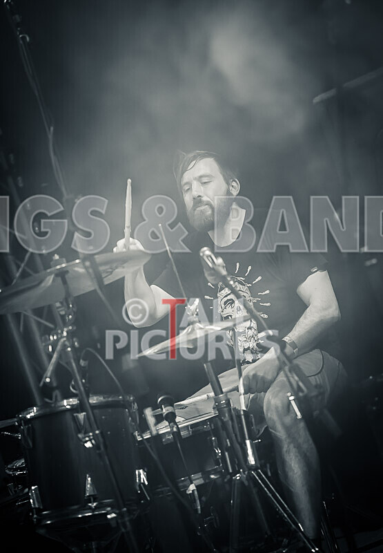 Pigsx7-9 - PIGS PIGS PIGS PIGS PIGS PIGS PIGS