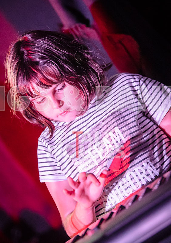 The Flaming Flamingos-22 - THE FLAMING FLAMINGOES