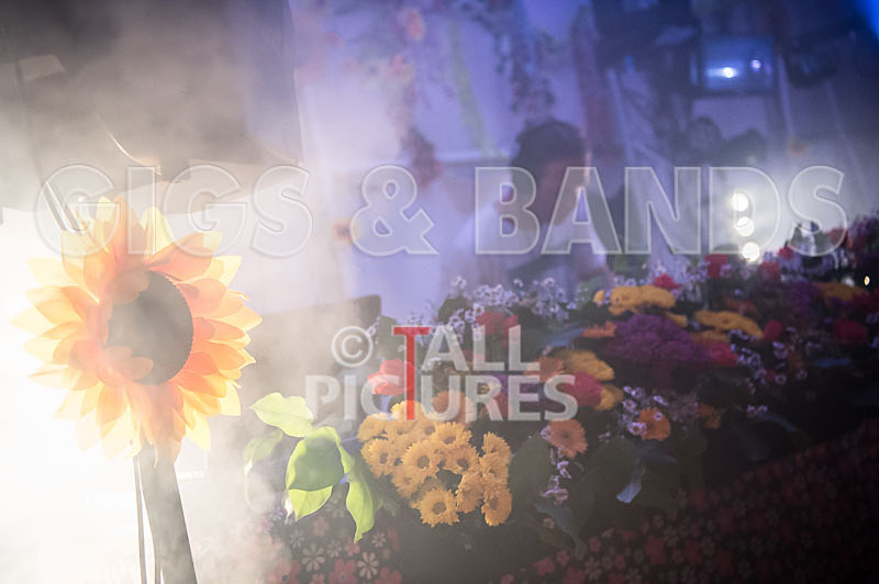 Jersey Live 2016_Scene-81 - JERSEY LIVE 2016_THE SCENE