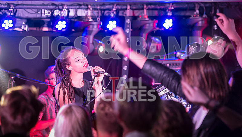 The Skints-8 - THE SKINTS