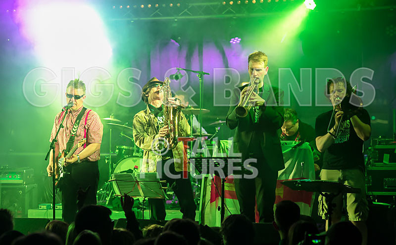 Sons of the Desert-301 - SONS OF THE DESERT