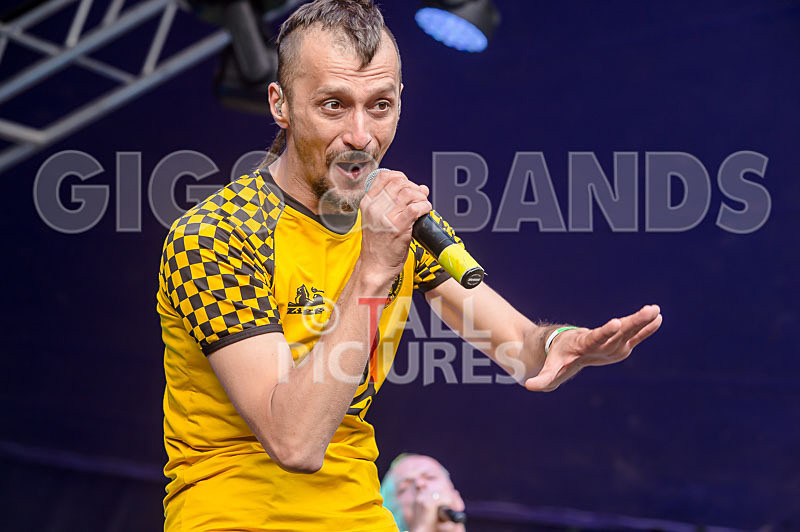 Dubioza Kolektiv-17 - DUBIOZA KOLEKTIV