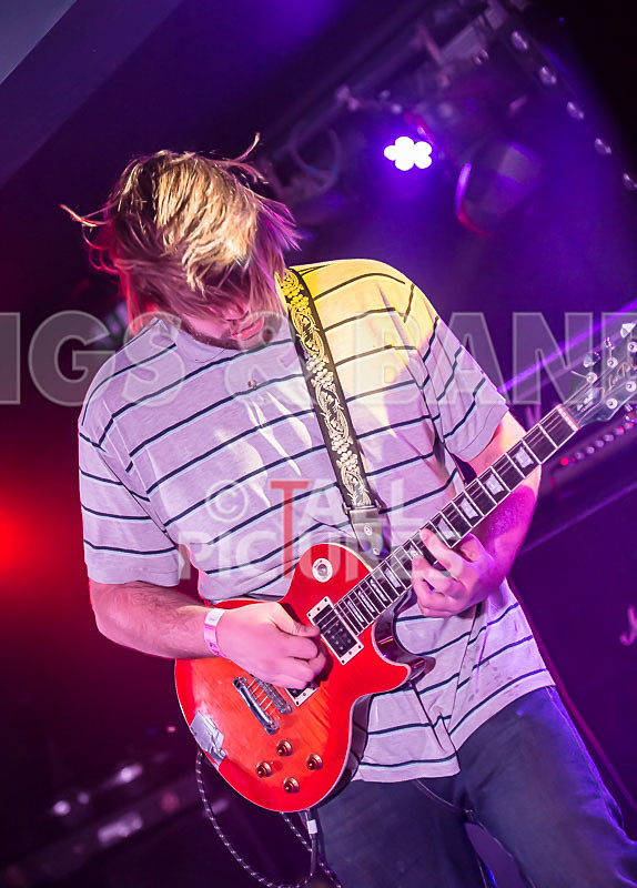 To the Woods-150 - TO THE WOODS