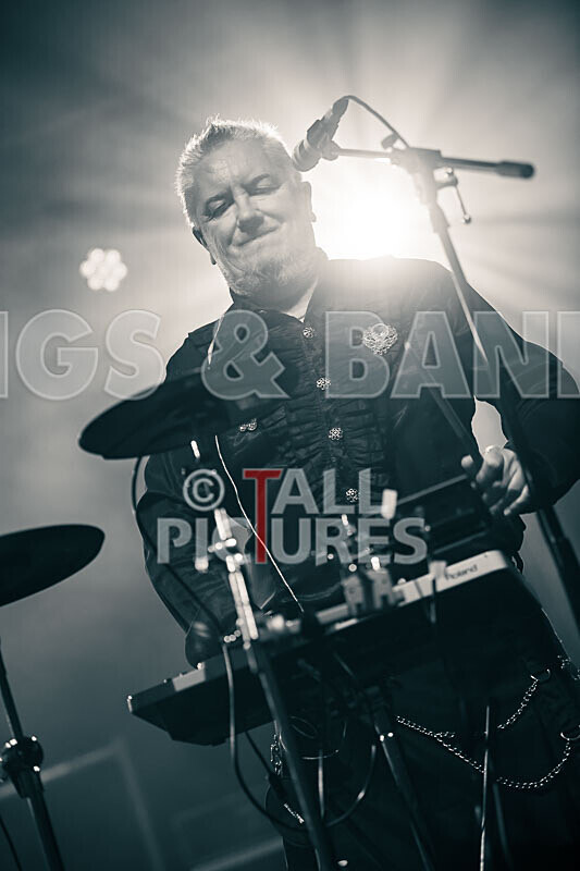 Fade2Grey-427 - FADE2GREY