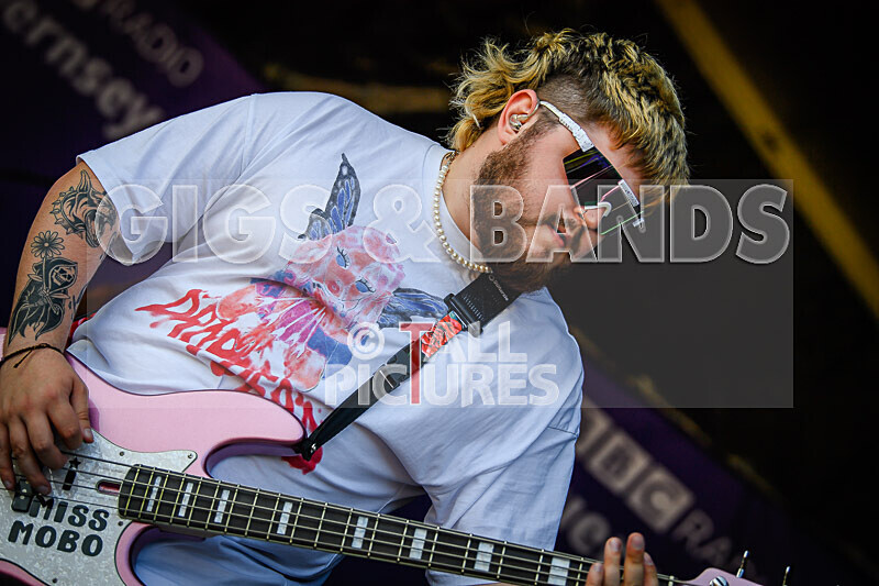 Bloomfield-35 - BLOOMFIELD