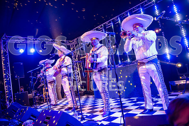 The Cuban Brothers-11 - THE CUBAN BROTHERS