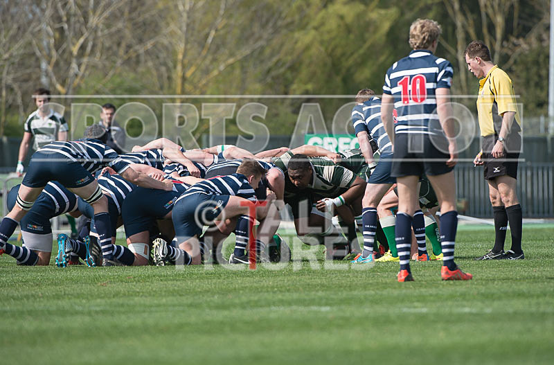 Guernsey v Westcombe Park-6 - GUERNSEY v WESTCOMBE PARK