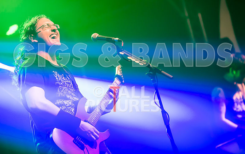 Demise of Sanity-50 - DEMISE OF SANITY