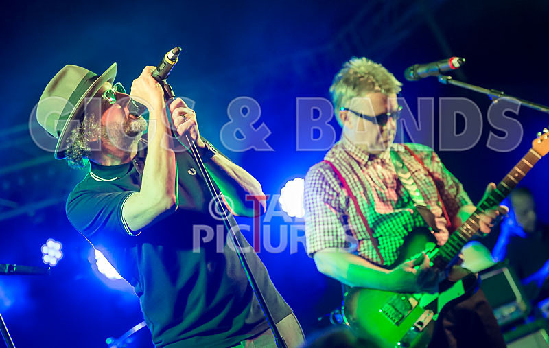 Sons of the Desert-294 - SONS OF THE DESERT