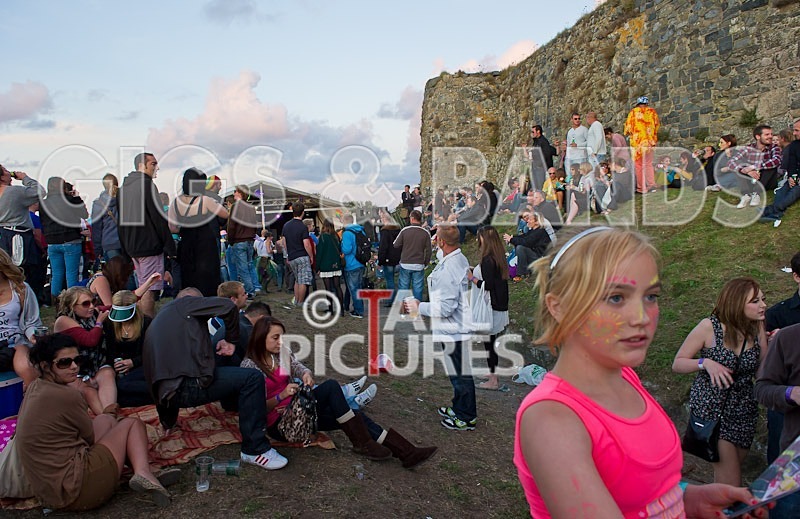 Vale Earth Fair 2011-24 - VALE EARTH FAIR 2011 - SCENE