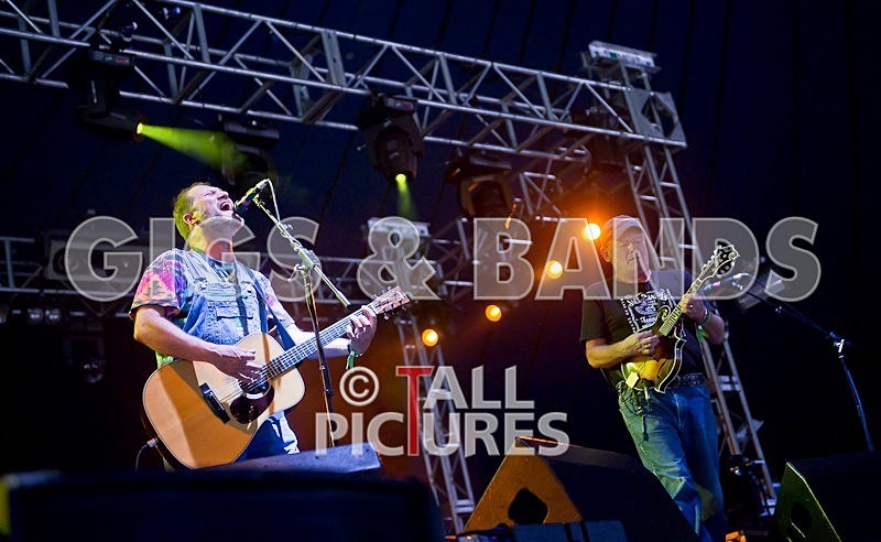 Hayseed Dixie-11 - HAYSEED DIXIE