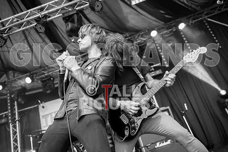 The Cryptics-40 - THE CRYPTICS