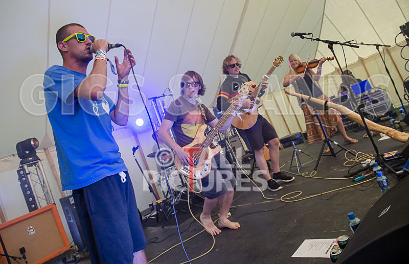 Buffalo Huddleston-267 - BUFFALO HUDDLESTON