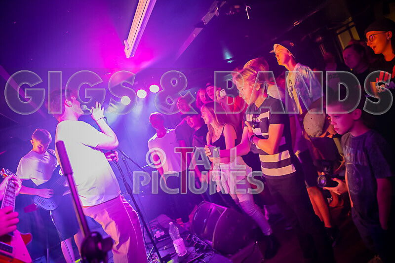 Black Dog-27 - BLACK DOG