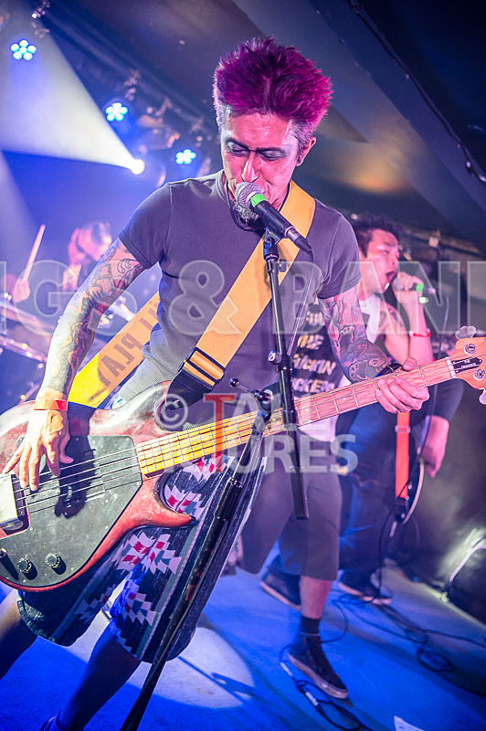 Morllyheads-14 - MORLLYHEADS