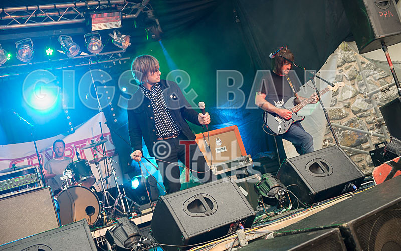 The Cryptics-92 - THE CRYPTICS