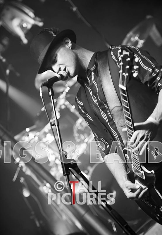 Peppered Ant Legs-56 - PEPPERED ANT LEGS